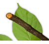 Клаво Хуаска (мелена кора, 5 г) / Tynanthus panurensis